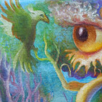 an eye in a tree, a bird on a branch, lake and forest background